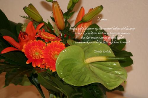 bloemen 120