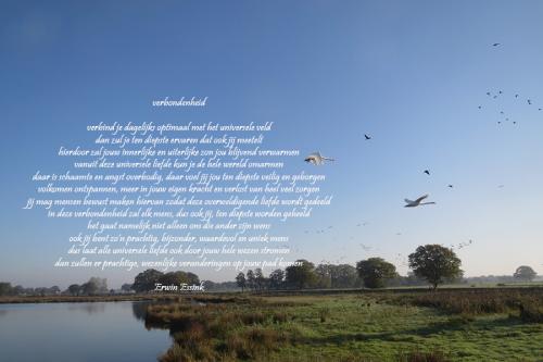 verbondenheid 260