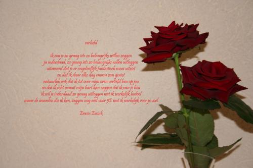 verliefd 13